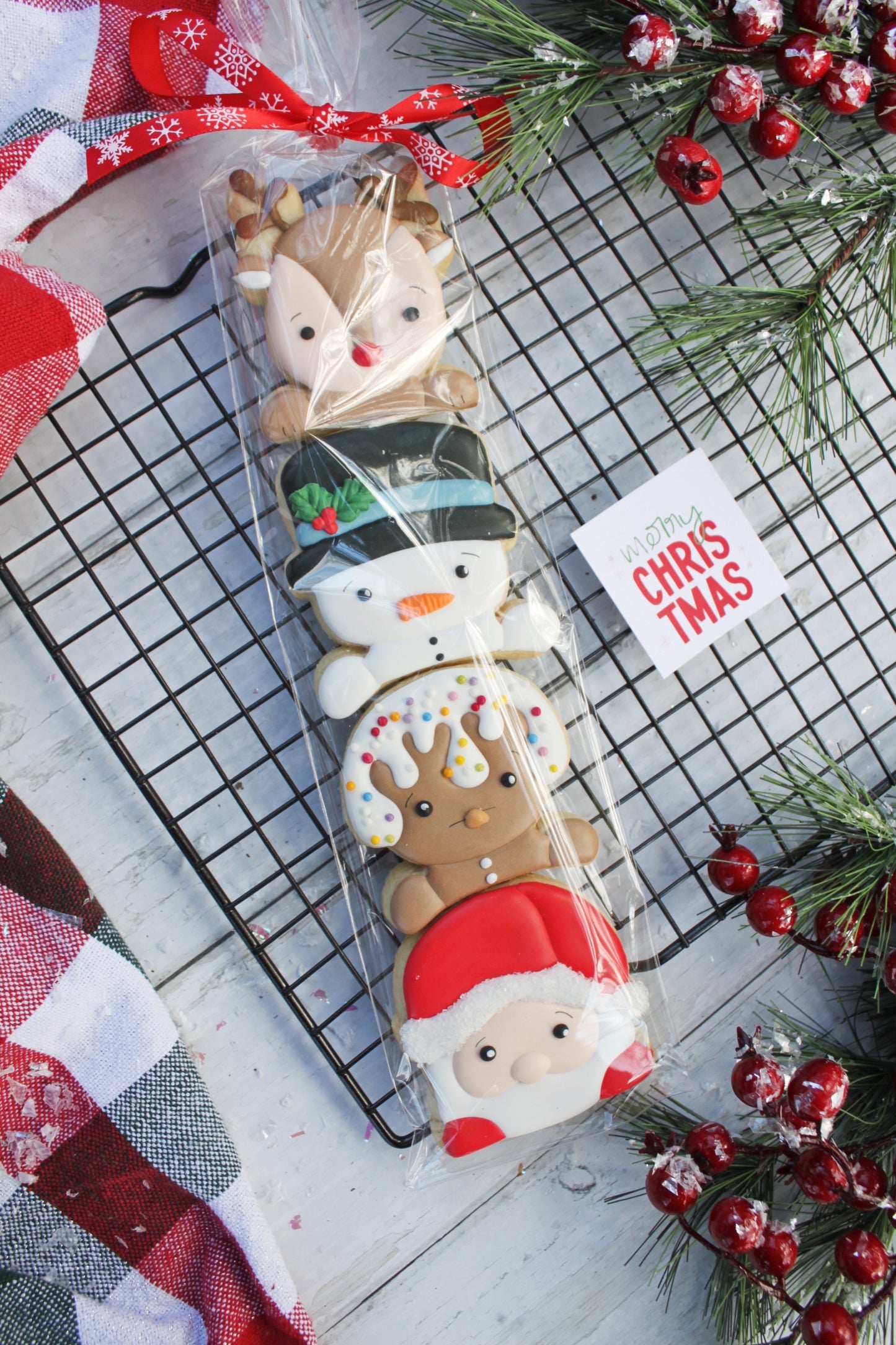 Mini Christmas Friends Sleeve