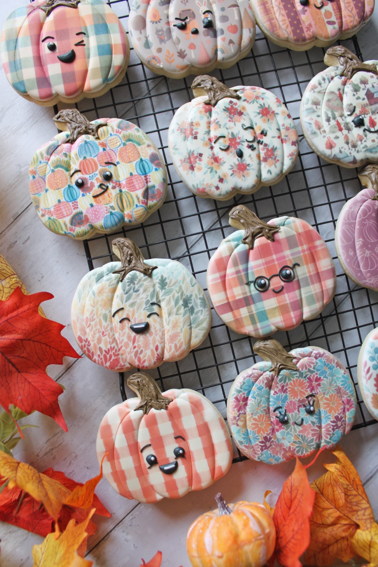 Surprise Pumpkin Friends (6 Pack)