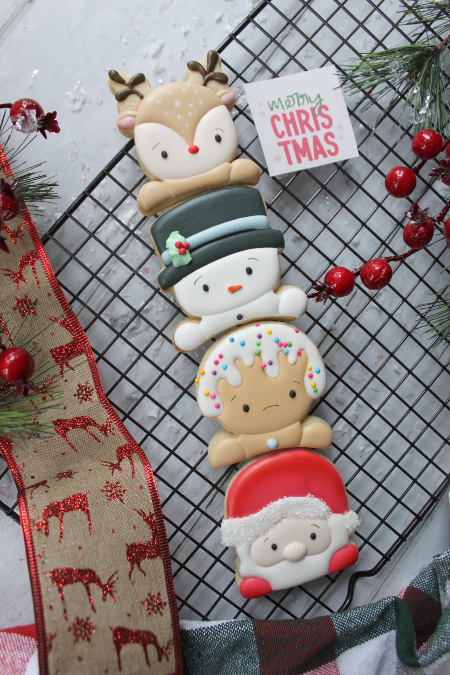 Mini Christmas Friends Sleeve