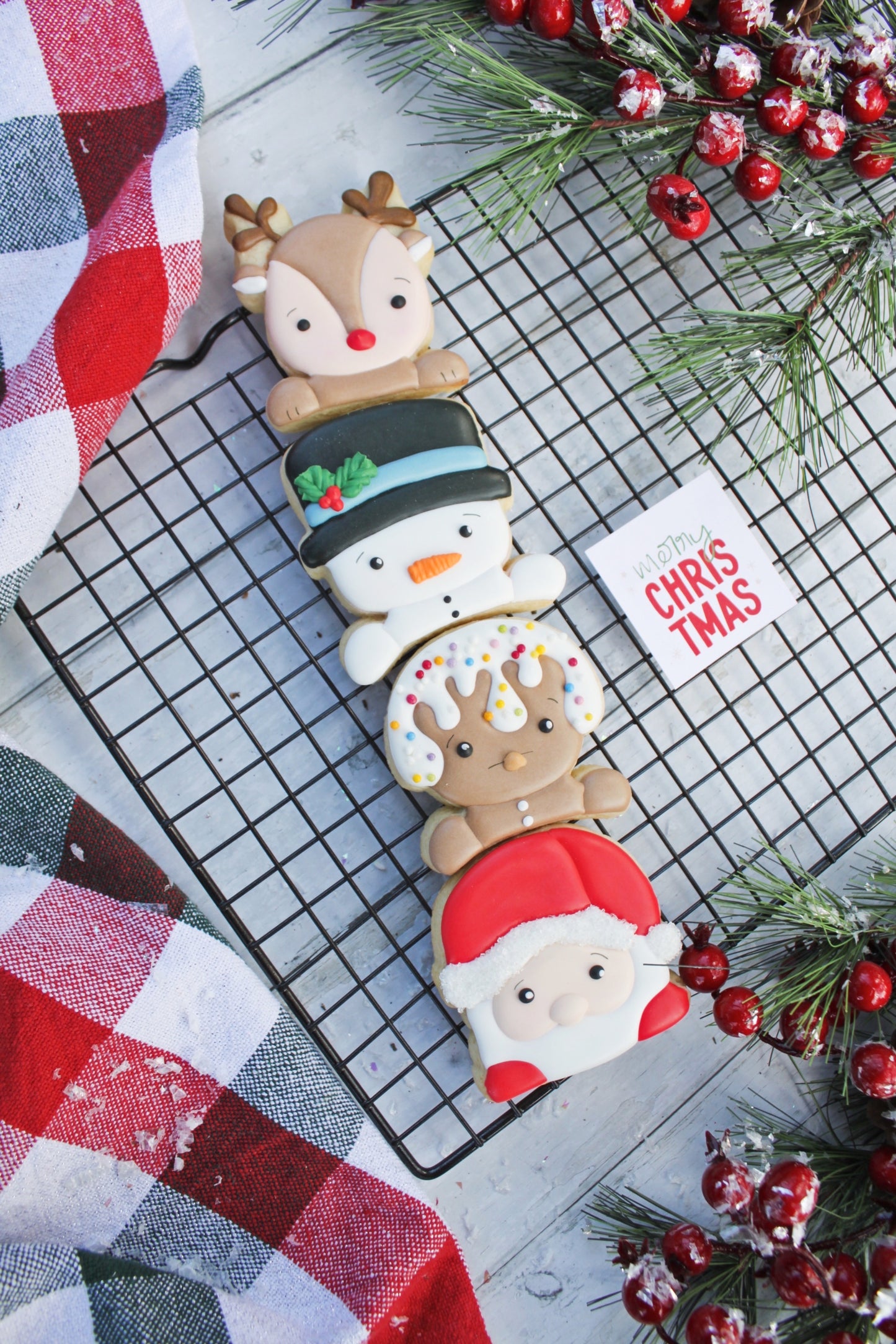 Mini Christmas Friends Sleeve