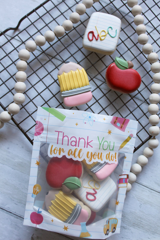 Mini Teacher Pouch